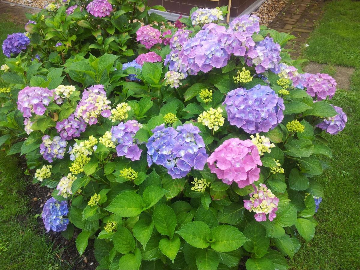 芭芭拉公寓 玛丽亚温泉 外观 照片