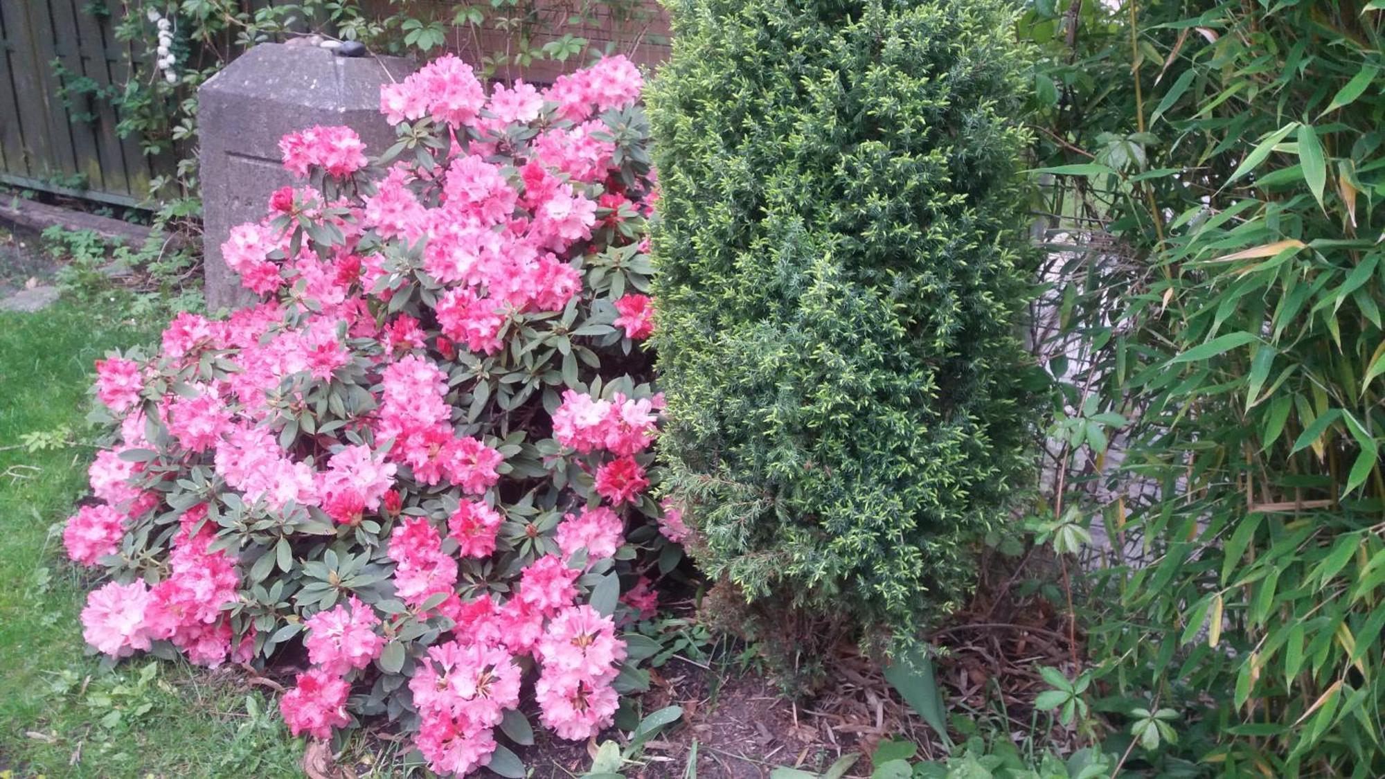 芭芭拉公寓 玛丽亚温泉 外观 照片